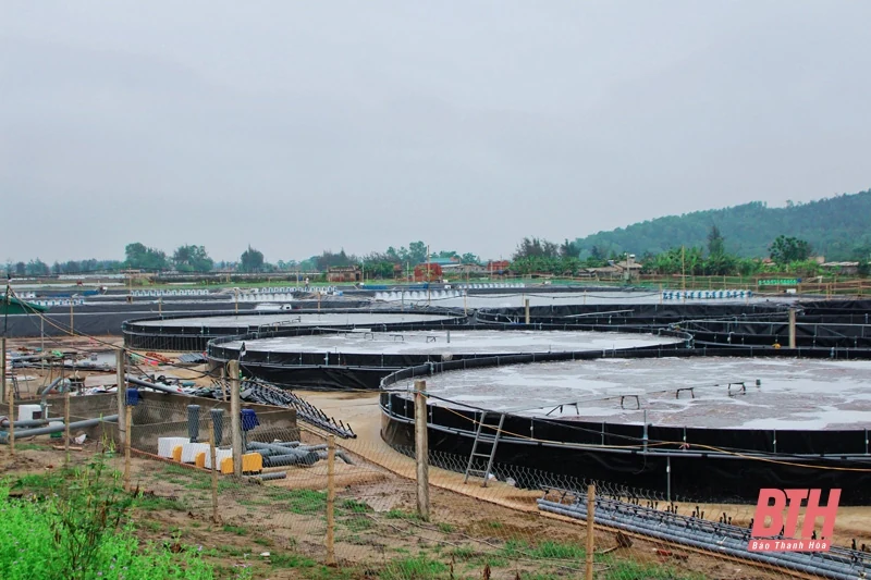 Phê duyệt 39 nhiệm vụ khoa học và công nghệ năm 2022