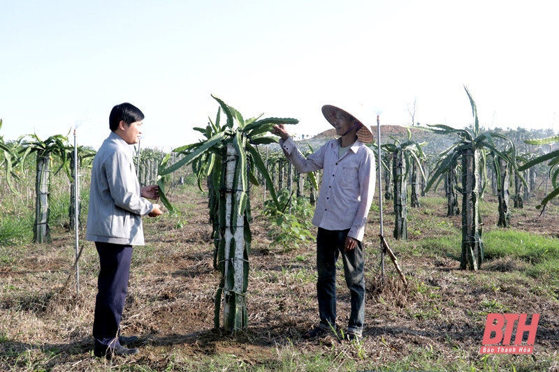 Tổng kết Kế hoạch hành động phát triển tưới tiên tiến và tiết kiệm nước cho cây trồng cạn