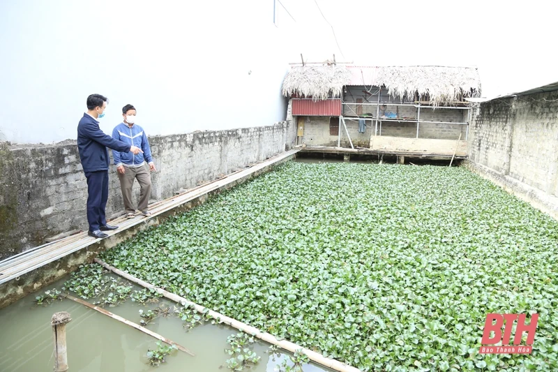 Đảng viên gương mẫu đi đầu ở Thiệu Hợp