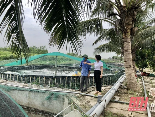 Đảng bộ xã Nga Thủy tập trung lãnh đạo phát triển kinh tế, xây dựng nông thôn mới nâng cao