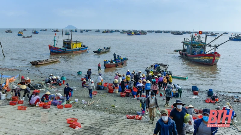 Bến cá Ngư Lộc nhộn nhịp dịp cuối năm