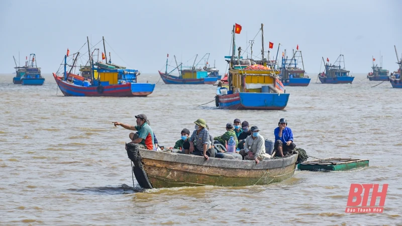 Bến cá Ngư Lộc nhộn nhịp dịp cuối năm