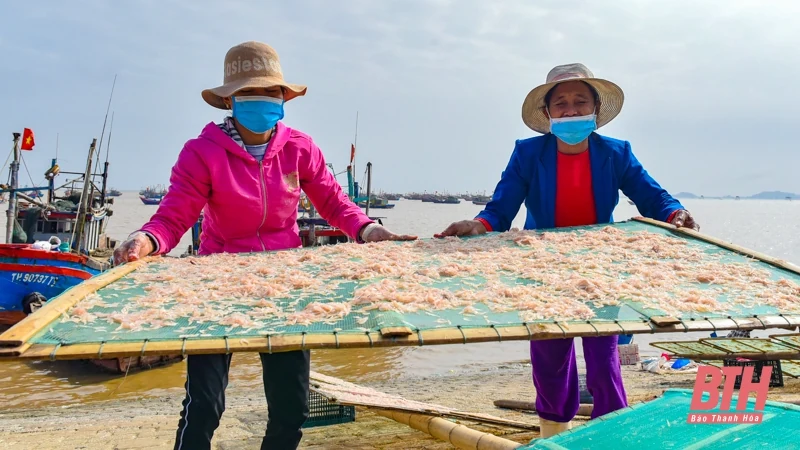 Bến cá Ngư Lộc nhộn nhịp dịp cuối năm