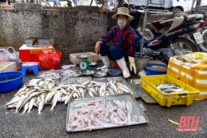 Bến cá Ngư Lộc nhộn nhịp dịp cuối năm