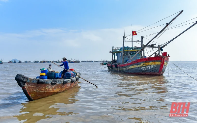 Bến cá Ngư Lộc nhộn nhịp dịp cuối năm