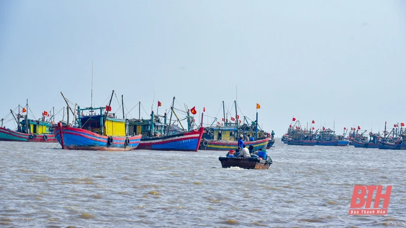 Bến cá Ngư Lộc nhộn nhịp dịp cuối năm