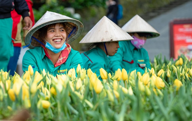 Sun Group và hành trình vượt qua “giông bão”