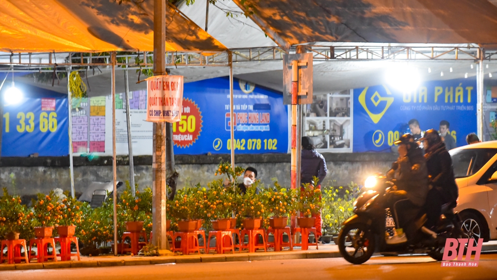 Thời tiết dịp Tết Nguyên đán Nhâm Dần 2022: Thanh Hóa có rét đậm, rét hại kéo dài liên tục