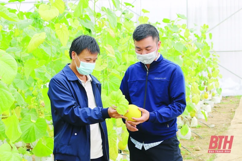 Đất ấm hơi người