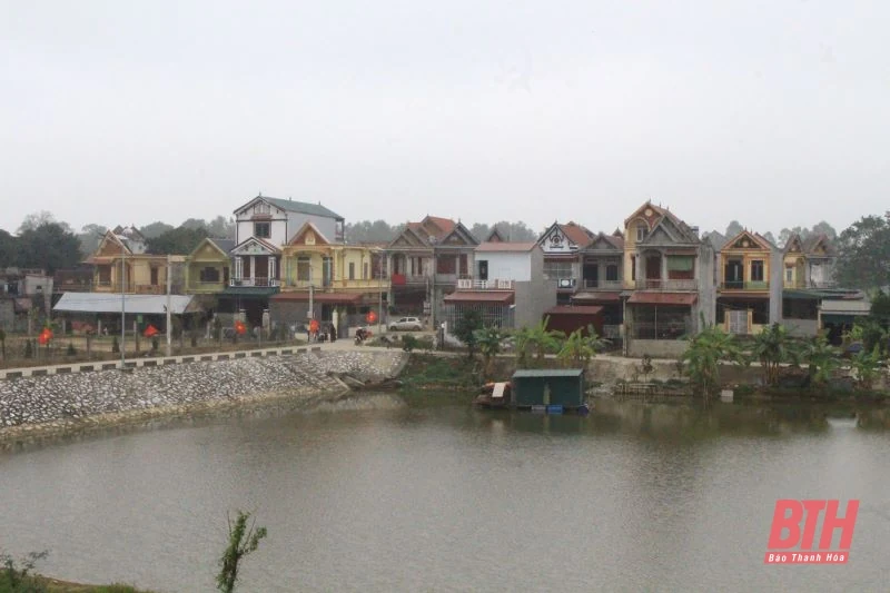 Xuân ấm làng chài