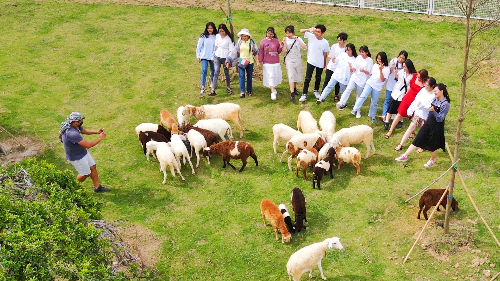 Cảm âm nhạc khúc: ‘Người chăn cừu - Der einsame Hirte’: dòng suối nhạc tưới mát tâm hồn phiên bản miền Tây