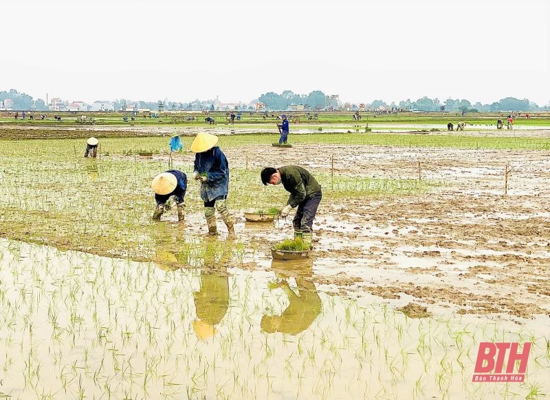 Nông dân nô nức xuống đồng sản xuất đầu xuân