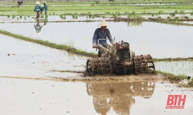 Nông dân nô nức xuống đồng sản xuất đầu xuân