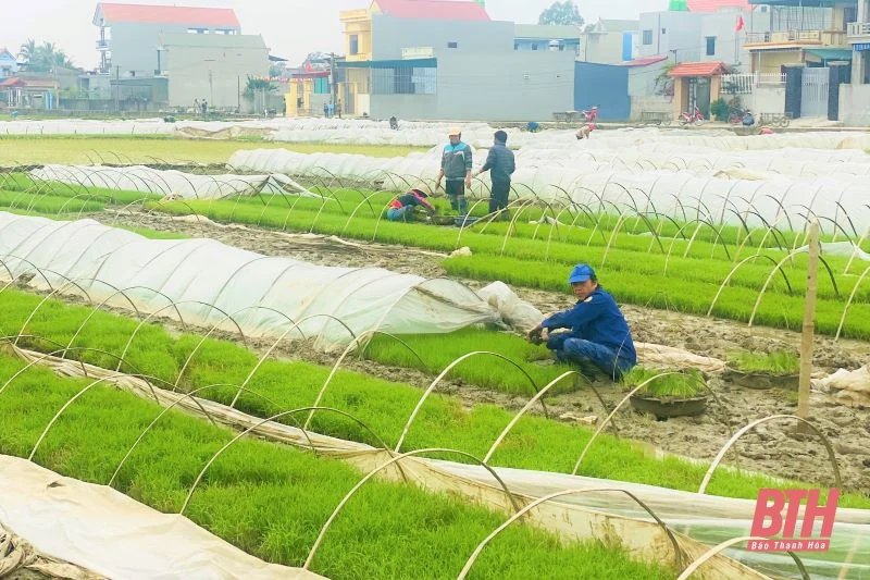 Nông dân nô nức xuống đồng sản xuất đầu xuân