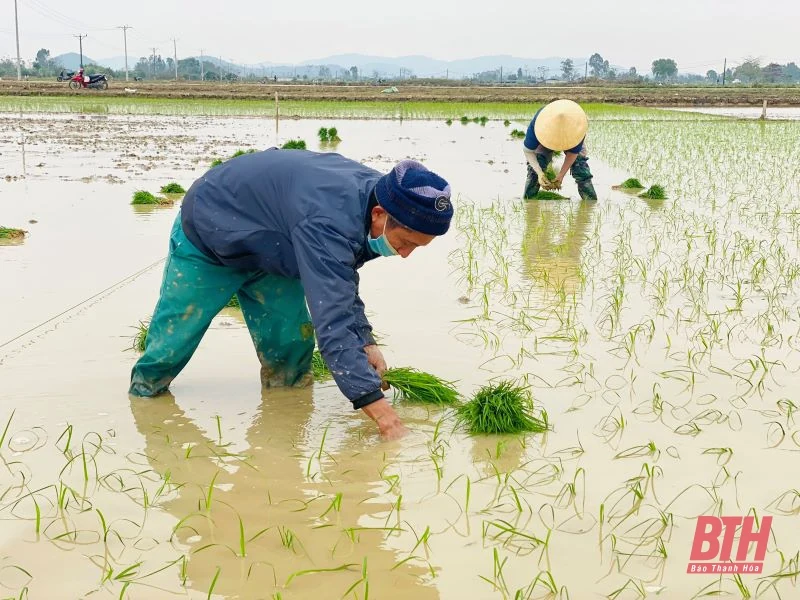 Nông dân nô nức xuống đồng sản xuất đầu xuân