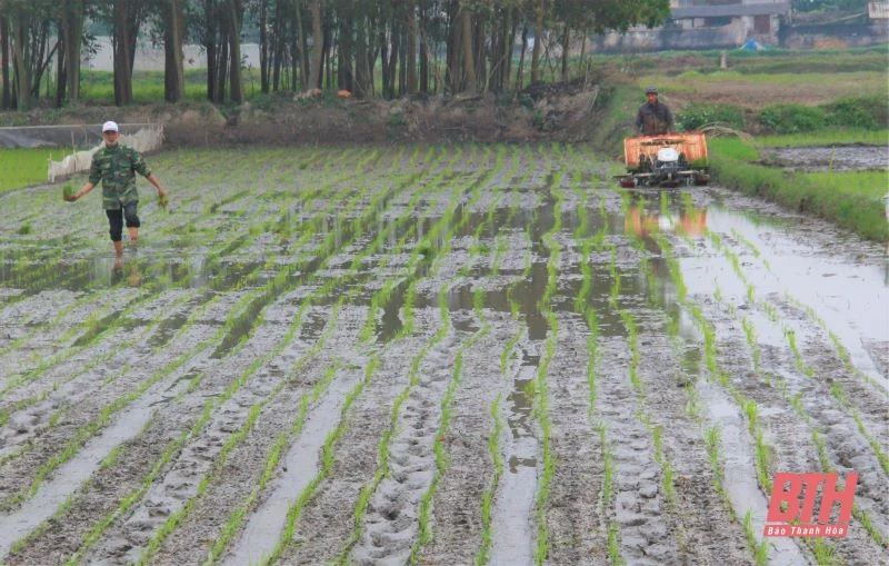 Nông dân nô nức xuống đồng sản xuất đầu xuân