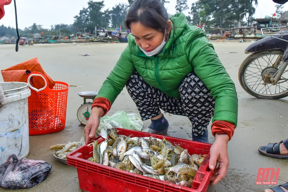 Ngư dân Thanh Hóa phấn khởi đi chuyến biển đầu năm mới