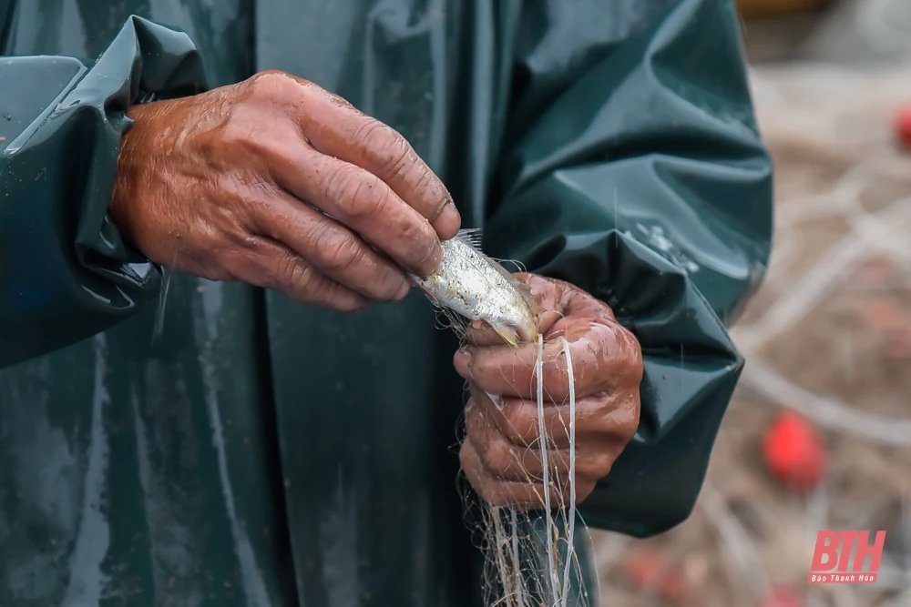 Ngư dân Thanh Hóa phấn khởi đi chuyến biển đầu năm mới