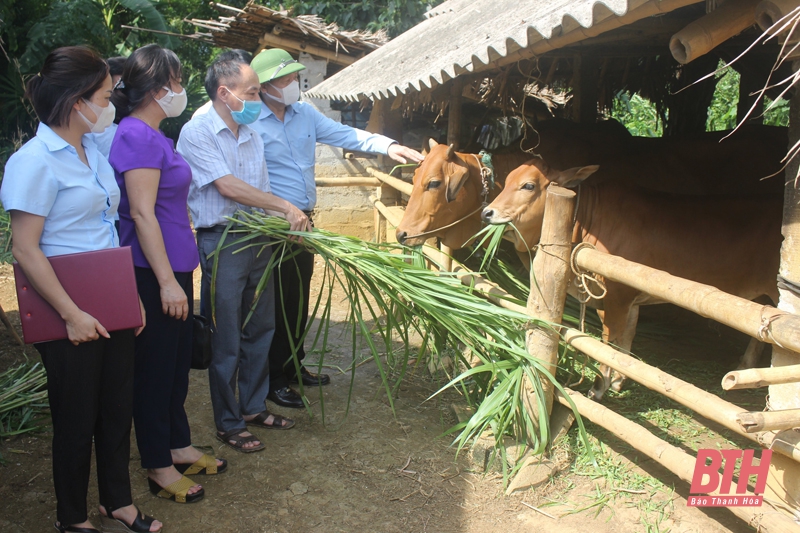 Hội viên, nông dân học và làm theo Bác