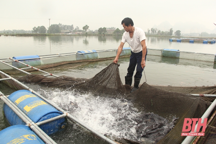 Những mặt nổi trội trong thực hiện tiêu chí ở những xã nông thôn mới nâng cao