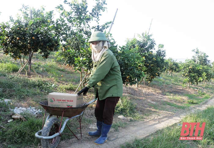 Sử dụng sản phẩm thân thiện với môi trường trong sản xuất, kinh doanh