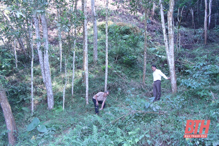 Chăm lo, nâng cao đời sống đồng bào dân tộc thiểu số, miền núi