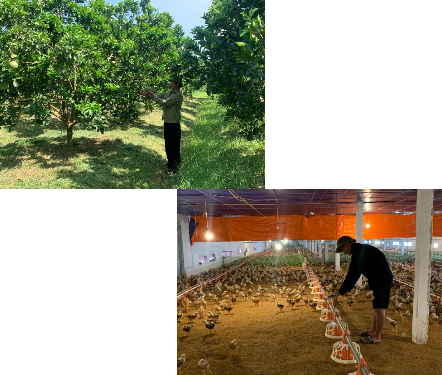 [E-Magazine] - Để Thọ Xuân “cất cánh”
