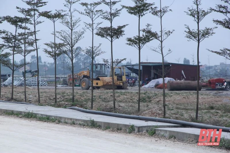 Phó Chủ tịch UBND tỉnh Mai Xuân Liêm kiểm tra tình hình đầu tư hạ tầng các cụm công nghiệp tại huyện Hoằng Hóa