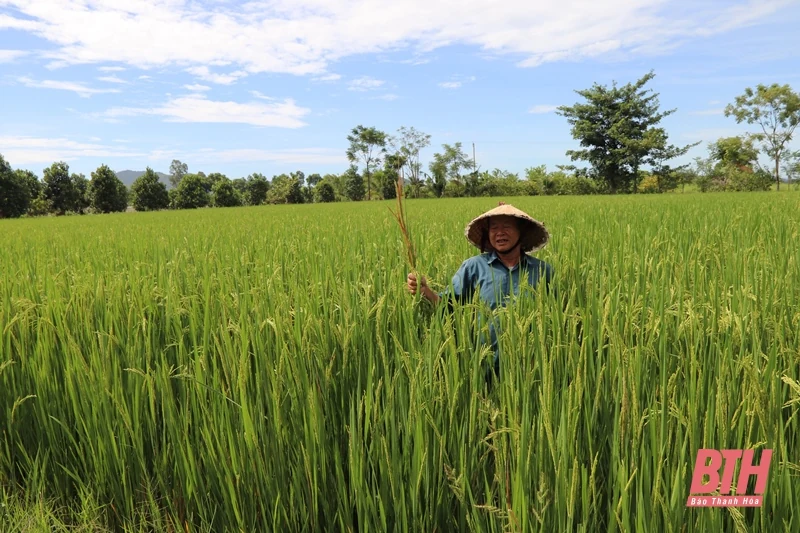 Xây dựng thôn nông thôn mới kiểu mẫu từ sức mạnh lòng dân