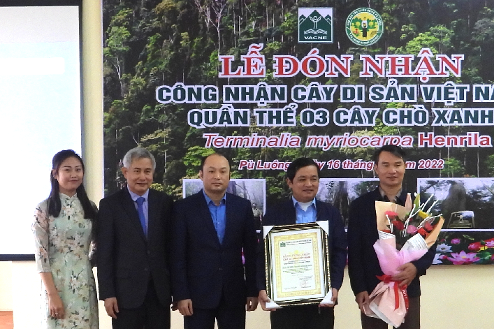 Công nhận 3 cây chò xanh ở Khu BTTN Pù Luông là cây di sản