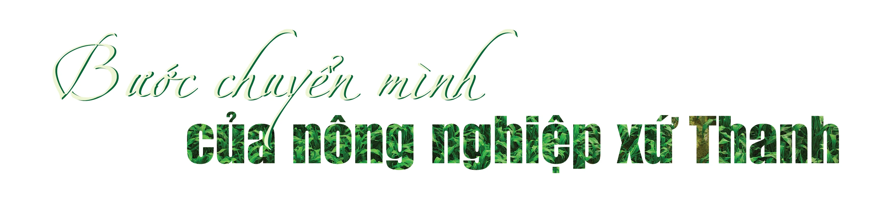 [E-Magazine] - Trang trại sinh thái Vinamilk Green Farm tại Thanh Hóa: Hướng đến nền nông nghiệp xanh, nông nghiệp của tương lai