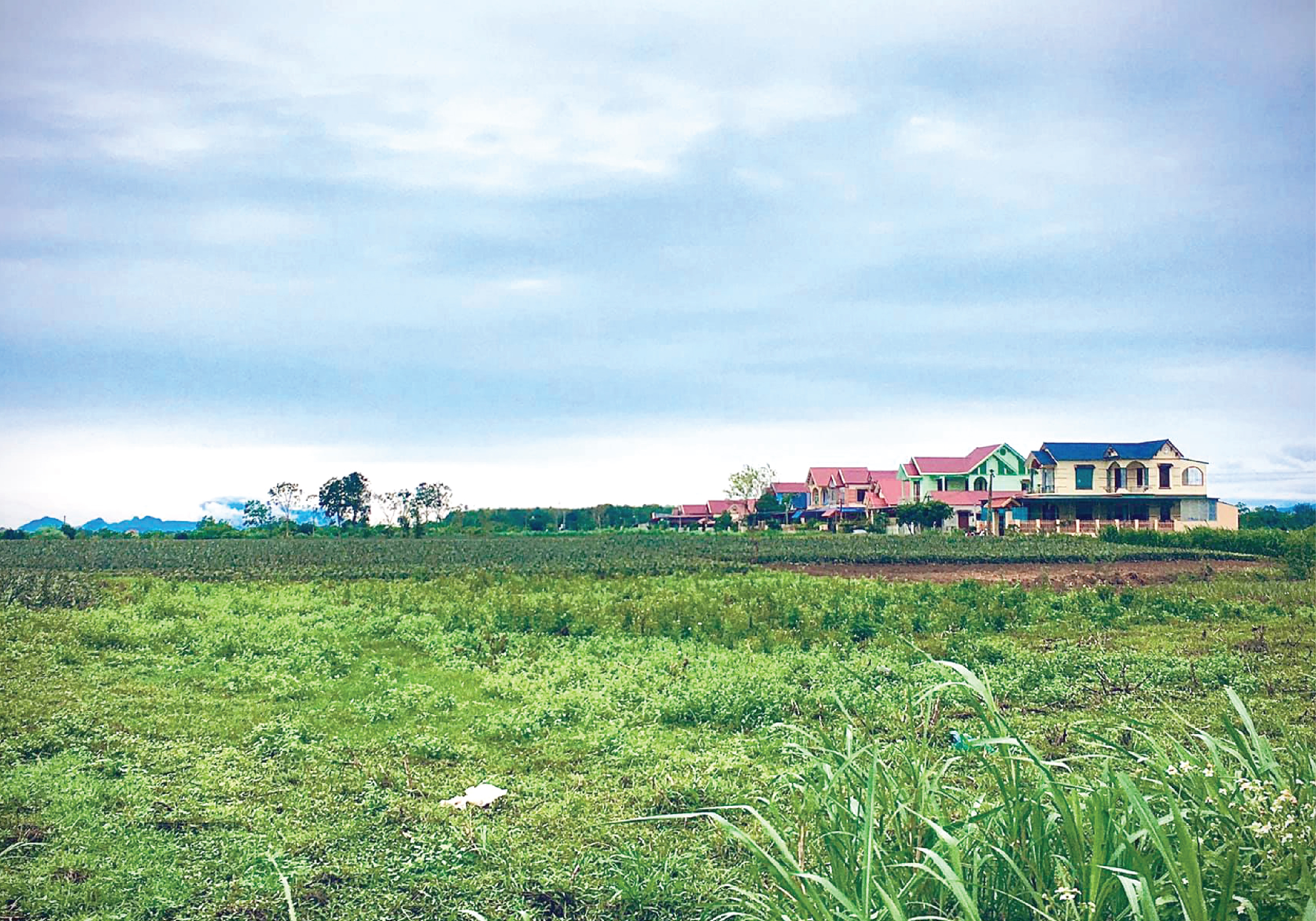 [E-Magazine] - Trang trại sinh thái Vinamilk Green Farm tại Thanh Hóa: Hướng đến nền nông nghiệp xanh, nông nghiệp của tương lai