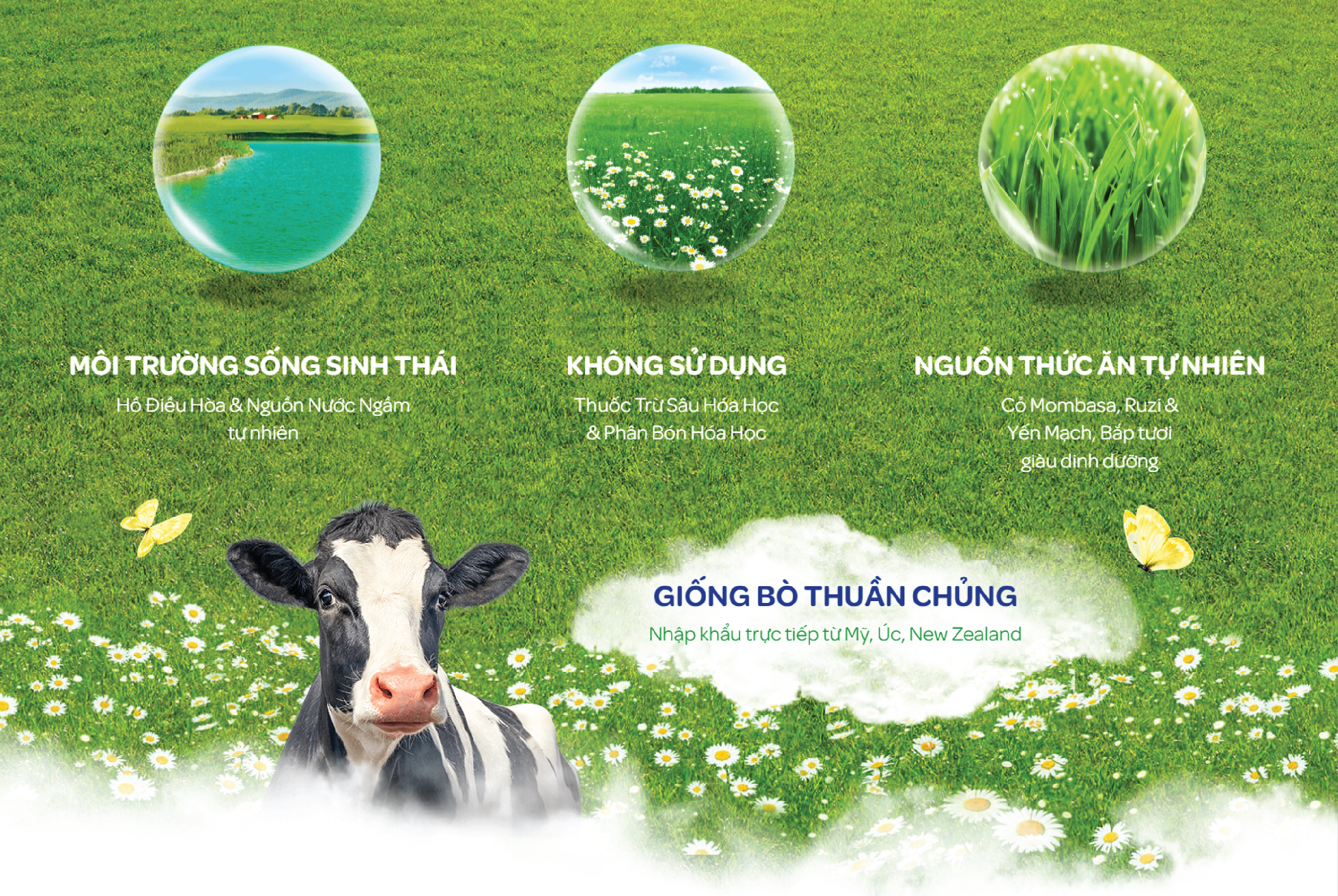 [E-Magazine] - Trang trại sinh thái Vinamilk Green Farm tại Thanh Hóa: Hướng đến nền nông nghiệp xanh, nông nghiệp của tương lai