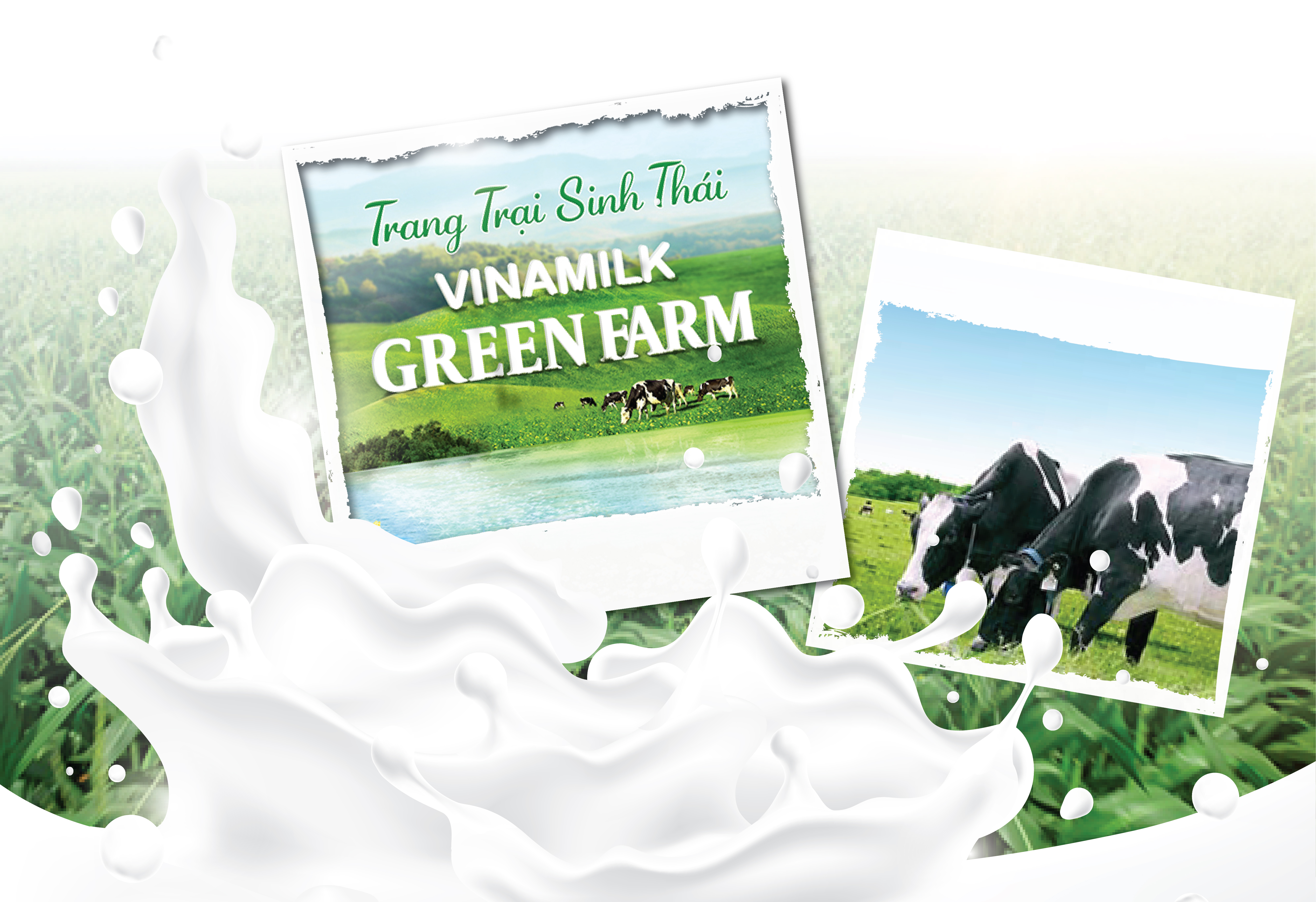 [E-Magazine] - Trang trại sinh thái Vinamilk Green Farm tại Thanh Hóa: Hướng đến nền nông nghiệp xanh, nông nghiệp của tương lai