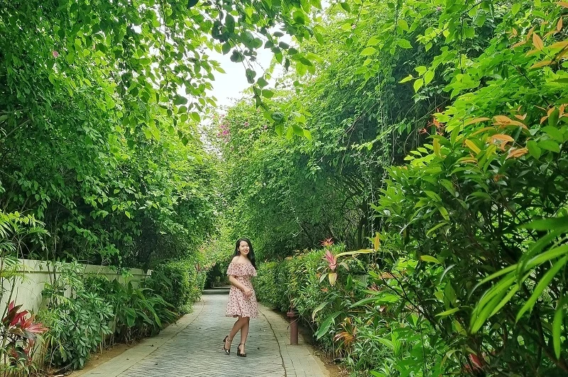 Âm nhạc sôi động và loạt combo du lịch giá hời đưa Sầm Sơn trở thành điểm đến hot nhất hè này