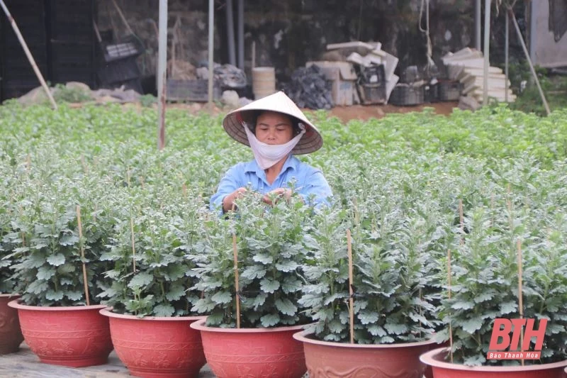 Giai đoạn 2022-2023, huyện Yên Định phấn đấu hoàn thành thêm 8 xã đạt NTM nâng cao