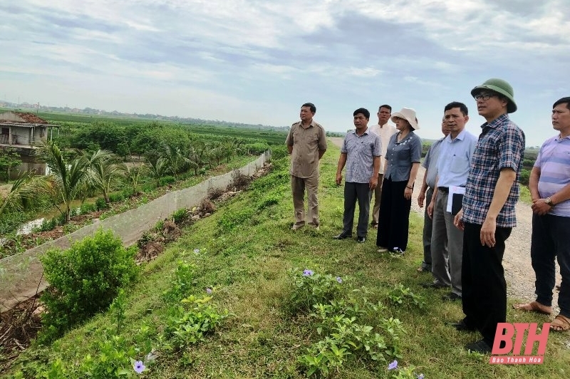 Lấy ý kiến của cộng đồng đối với Dự án đầu tư xây dựng tuyến đường bộ ven biển