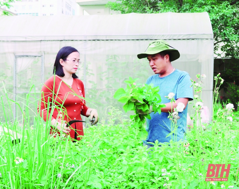 Dầu gội dược liệu Mây - sản phẩm từ tấm lòng của chủ nhân