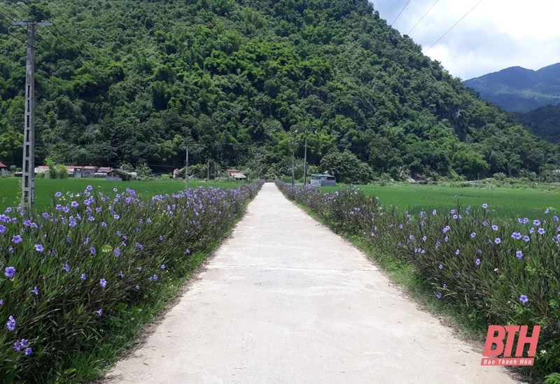 Hội viên phụ nữ Bá Thước chung tay bảo vệ môi trường