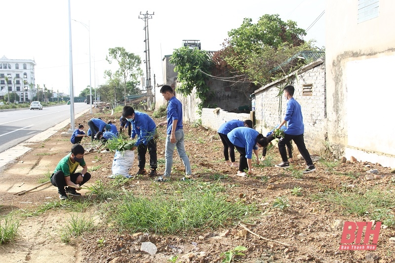 Tổng dọn vệ sinh môi trường, bảo đảm trật tự đô thị trên tuyến đại lộ Đông - Tây