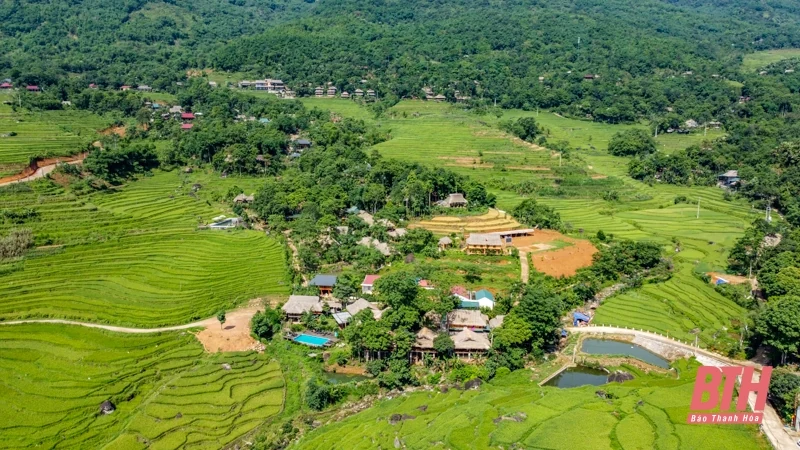 Pù Luông chuẩn bị vào mùa đẹp nhất trong năm