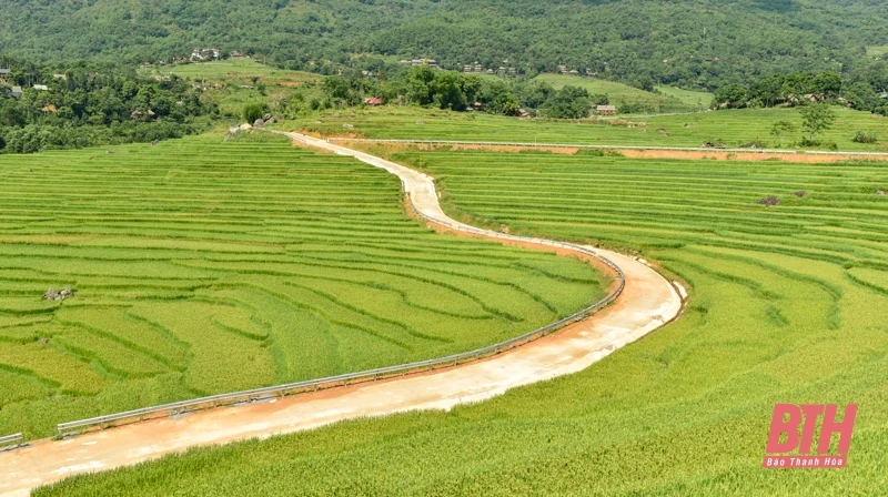 Pù Luông chuẩn bị vào mùa đẹp nhất trong năm