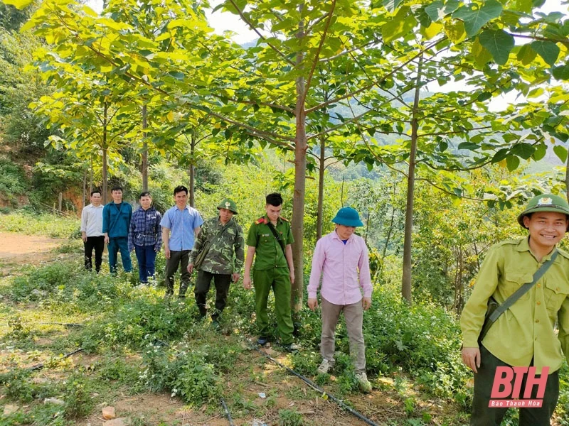 Quan Hóa: Bảo vệ gắn với phát triển rừng bền vững