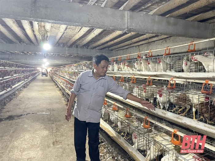 Chuyển đổi phương thức sản xuất trong chăn nuôi