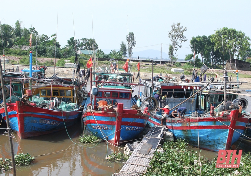 Triển khai đánh giá thực hiện Chiến lược quốc gia phòng, chống thiên tai