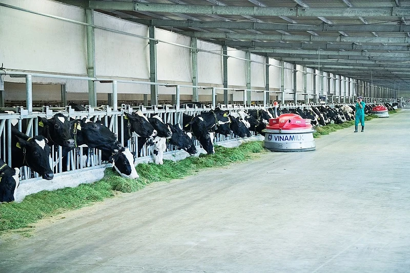 Vinamilk là đại diện duy nhất từ Đông Nam Á chia sẻ về phát triển bền vững của ngành sữa Việt Nam tại Hội nghị sữa toàn cầu