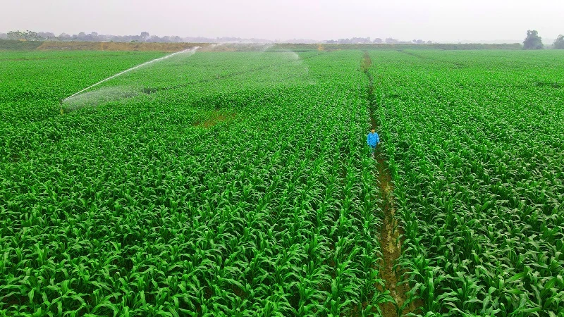 Vinamilk là đại diện duy nhất từ Đông Nam Á chia sẻ về phát triển bền vững của ngành sữa Việt Nam tại Hội nghị sữa toàn cầu