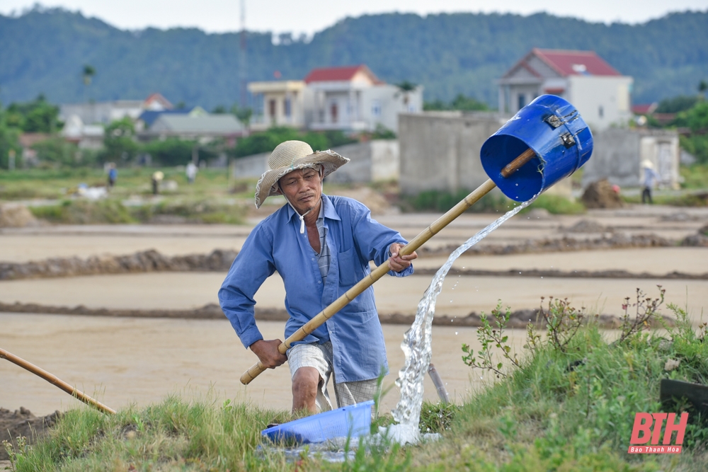 Diêm dân Thanh Hóa đội nắng nóng thu hoạch muối