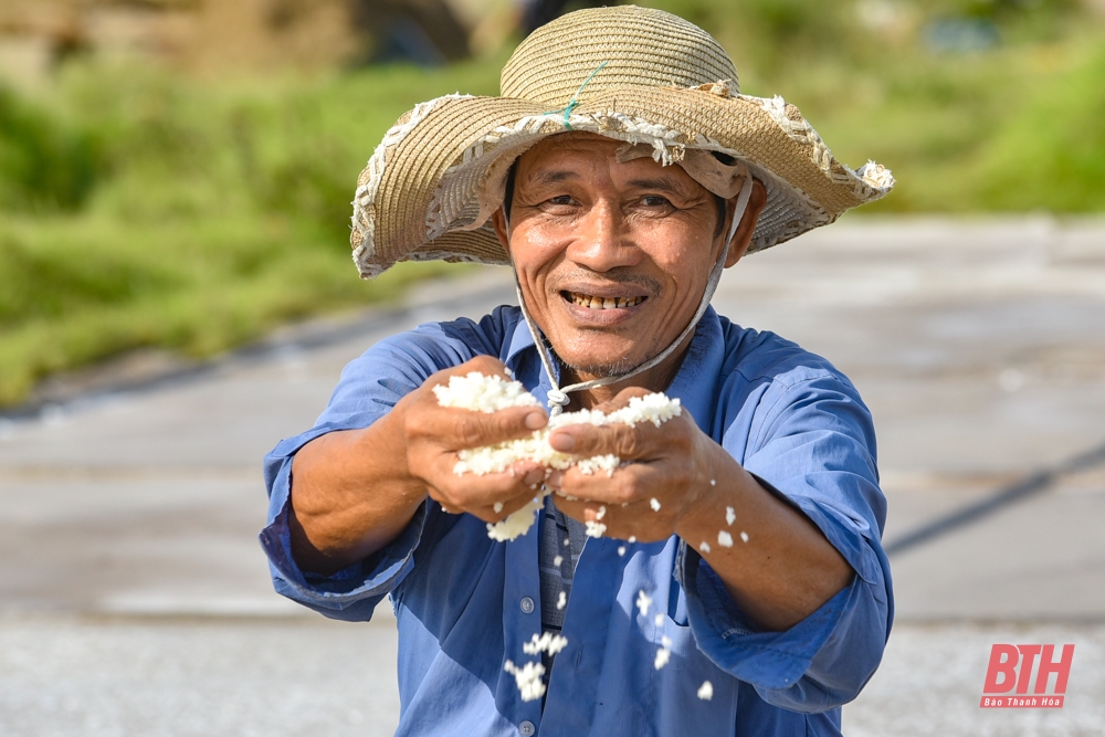 Diêm dân Thanh Hóa đội nắng nóng thu hoạch muối