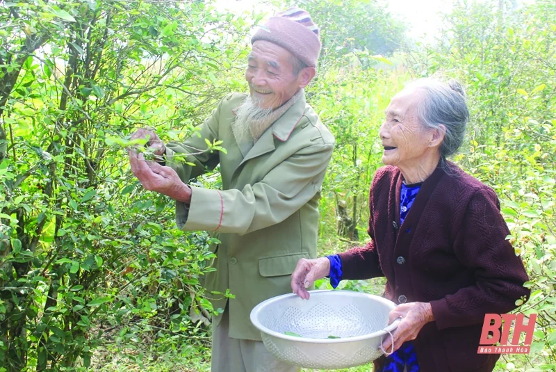 Nhân ngày gia đình Việt Nam (28-6): Xây dựng gia đình bình an, xã hội hạnh phúc